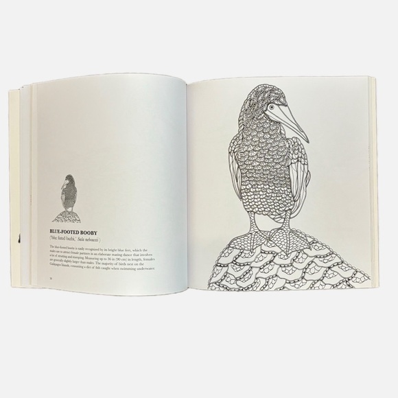 Coloring Books for Young Adults and Adults Lot of 3 Books - Picture 4 of 11